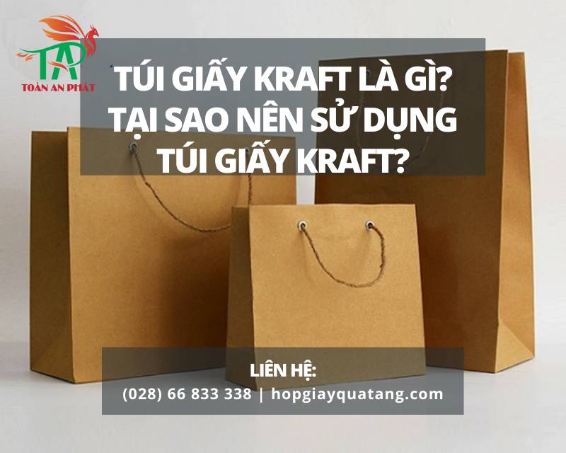Túi giấy kraft