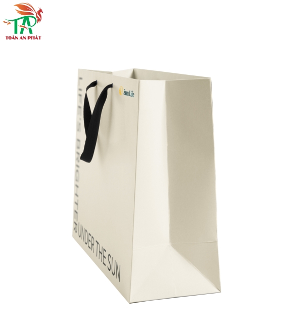 TÚI GIẤY SHOPPING NHIỀU KÍCH CỠ